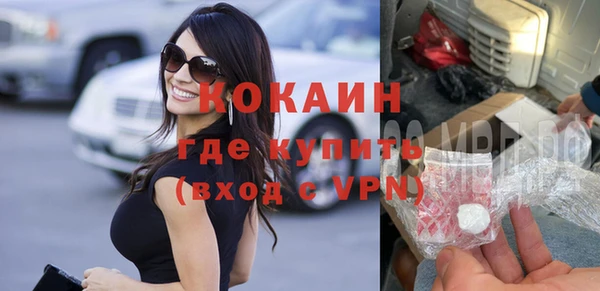 прущие грибы Арсеньев
