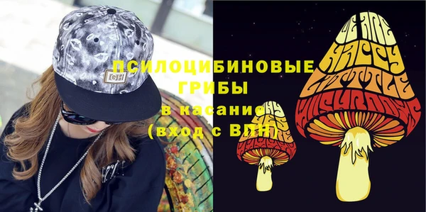 PSILOCYBIN Армянск
