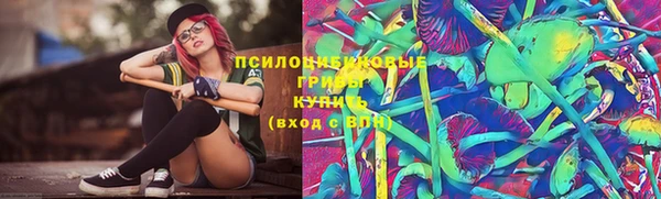 прущие грибы Арсеньев